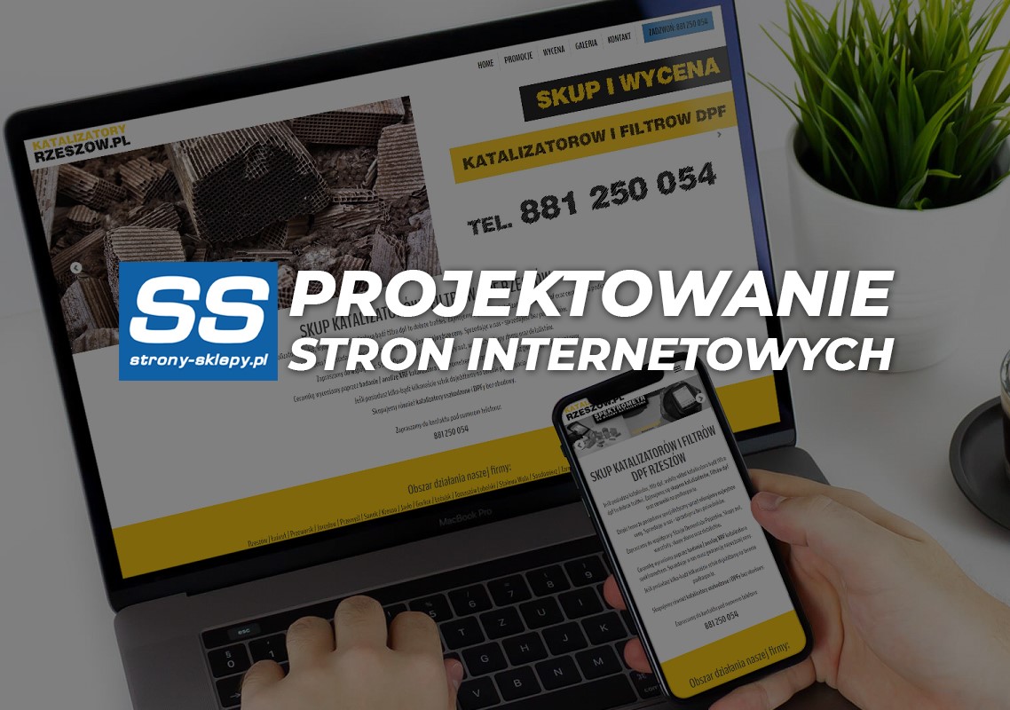 Strony internetowe Puławy - błyskawicznie, tanio